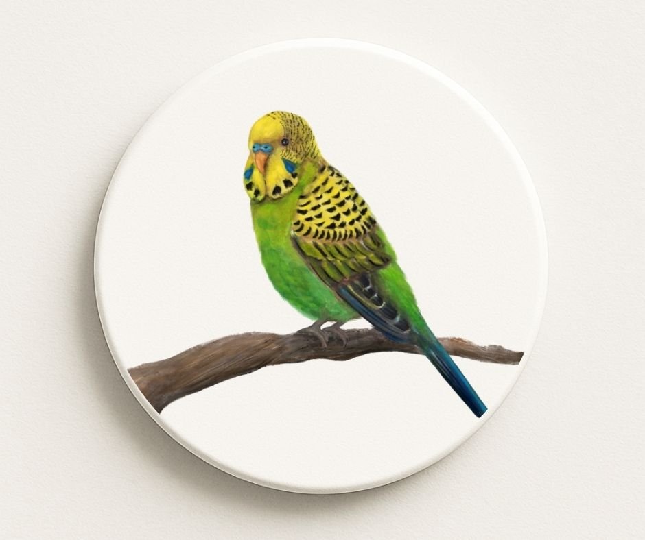 Green and Yellow Parakeet Ceramic Coaster - MerikaArt