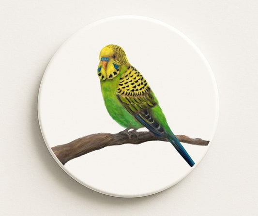 Green and Yellow Parakeet Ceramic Coaster - MerikaArt