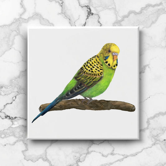 Green Budgie Ceramic Tile - MerikaArt