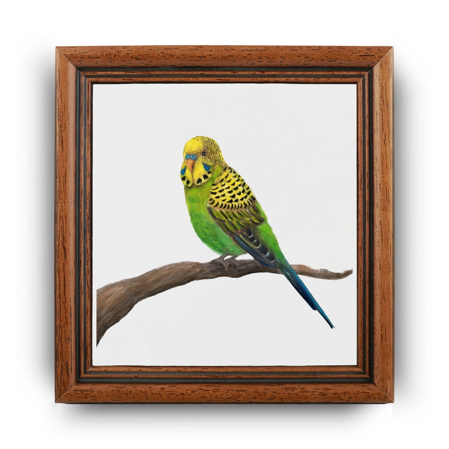 Green Budgie Ceramic Tile – Handcrafted Artistic Design - MerikaArt