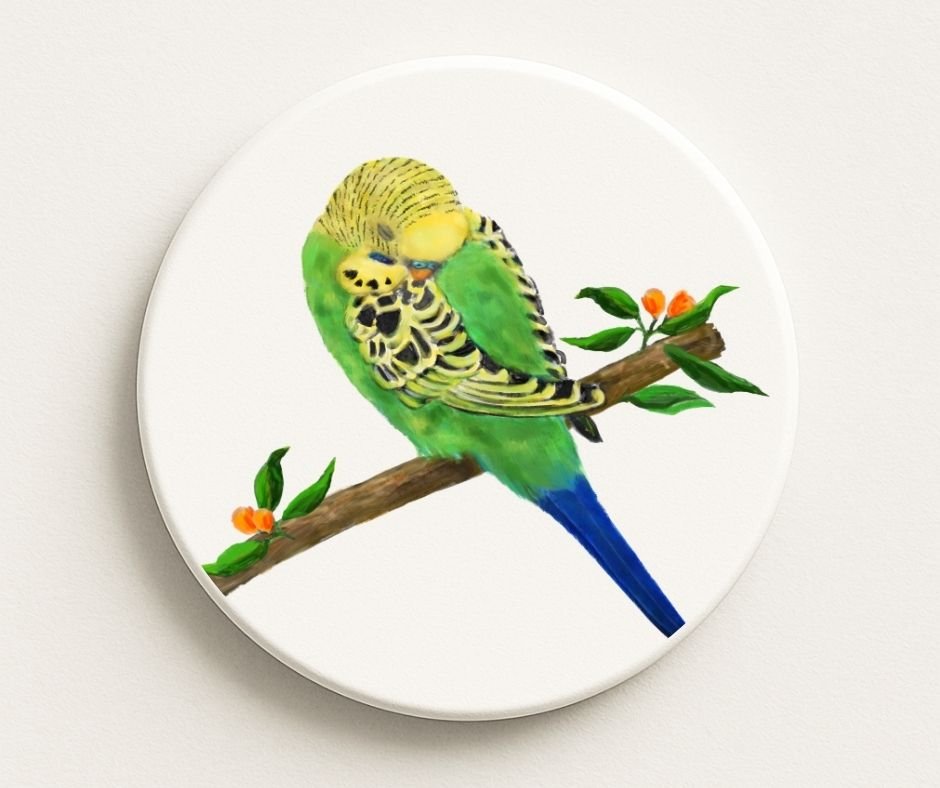 Green Budgie on Branch Ceramic Coaster - MerikaArt
