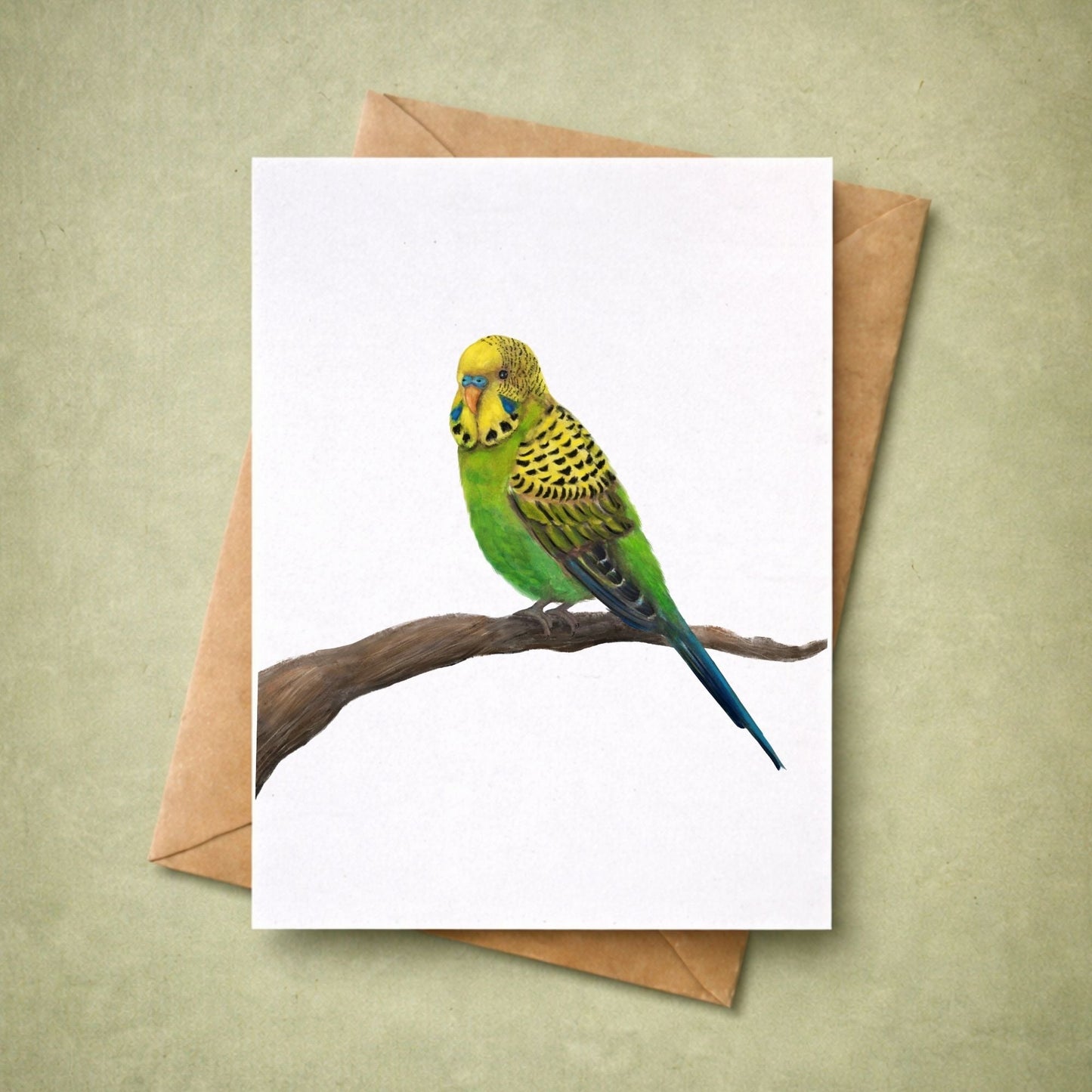 Green Budgie Postcard - MerikaArt