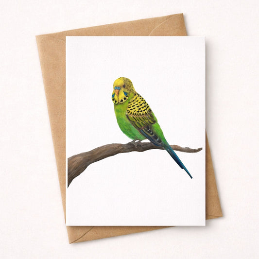Green Budgie Postcard - MerikaArt