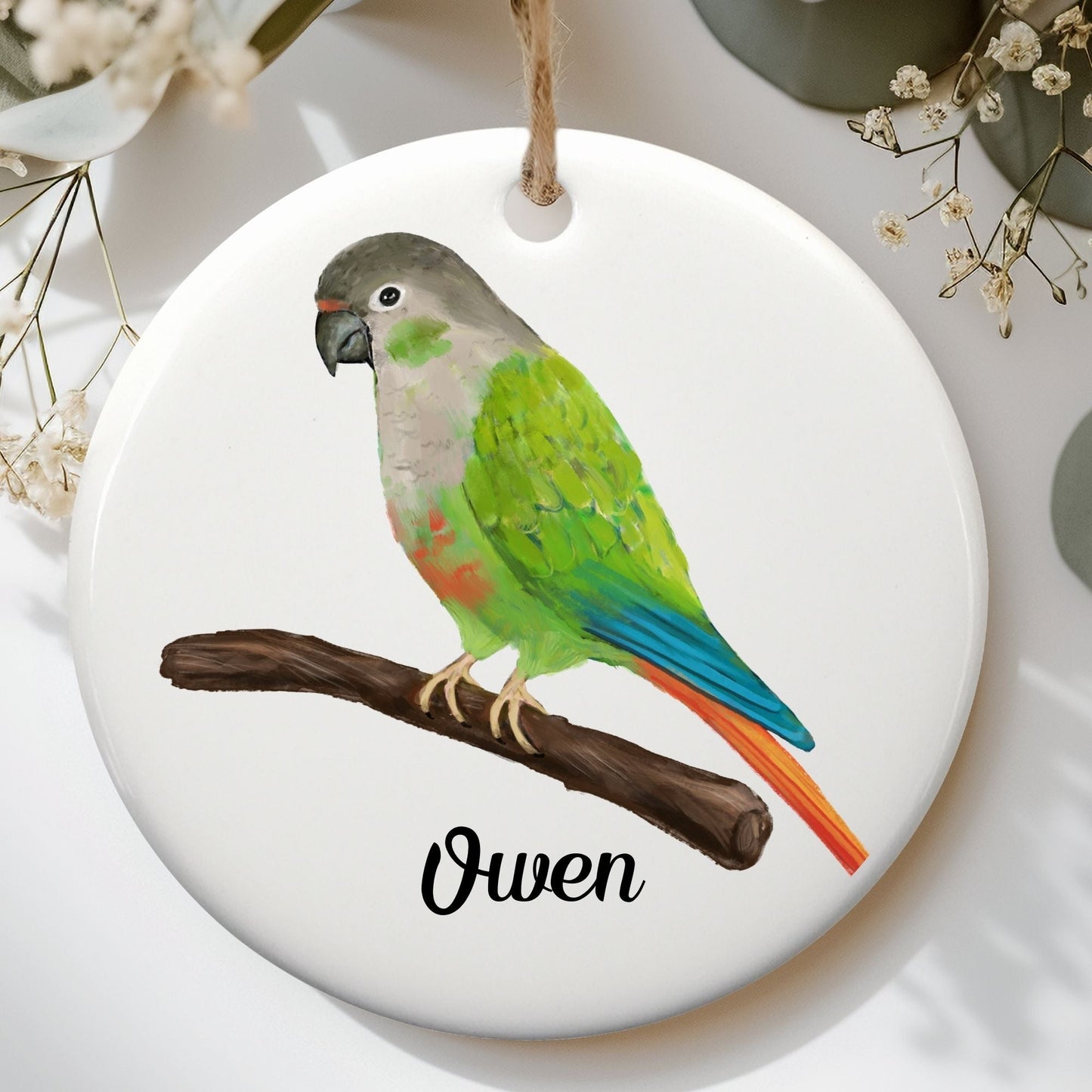 Green Cheek Conure Ceramic Ornament - MerikaArt
