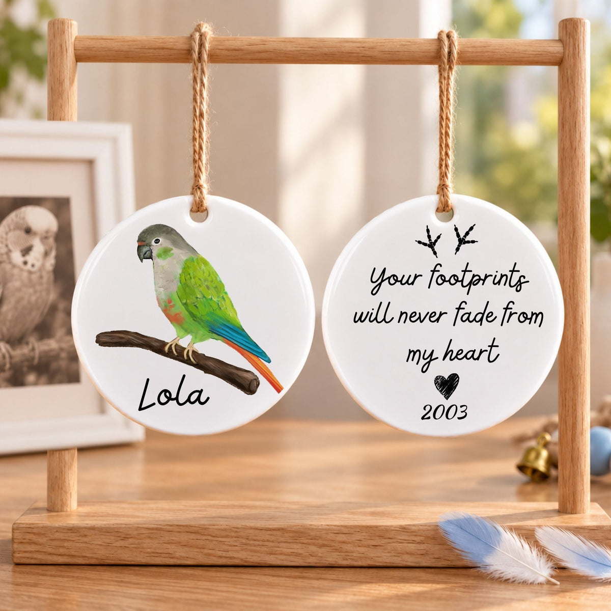 Green Cheek Conure Ceramic Ornament - MerikaArt