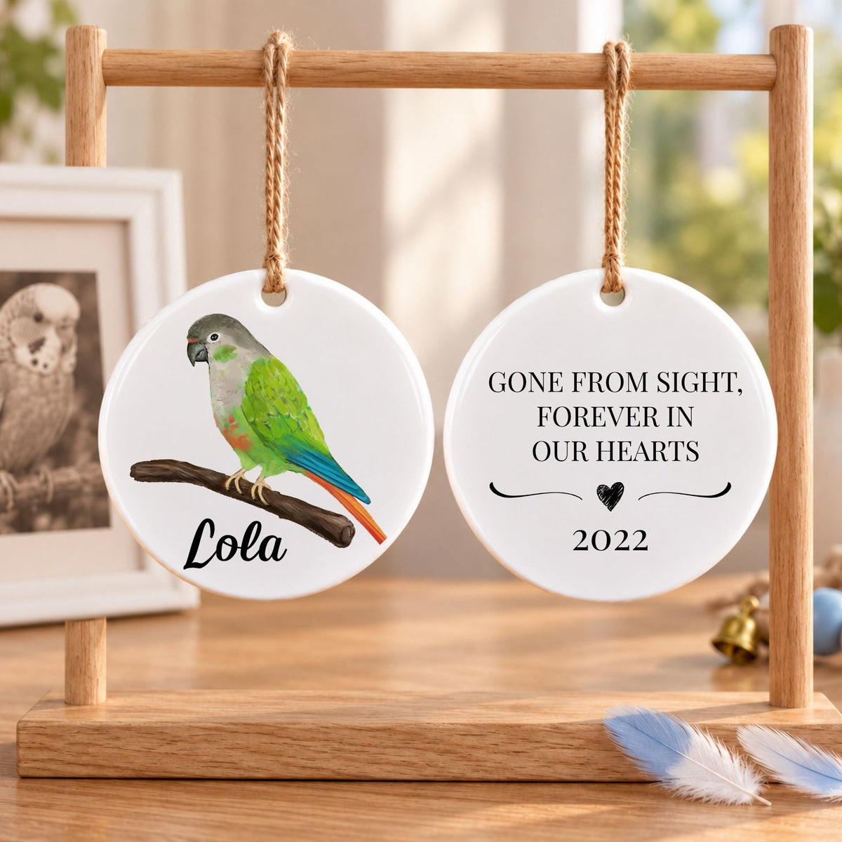Green Cheek Conure Ceramic Ornament - MerikaArt