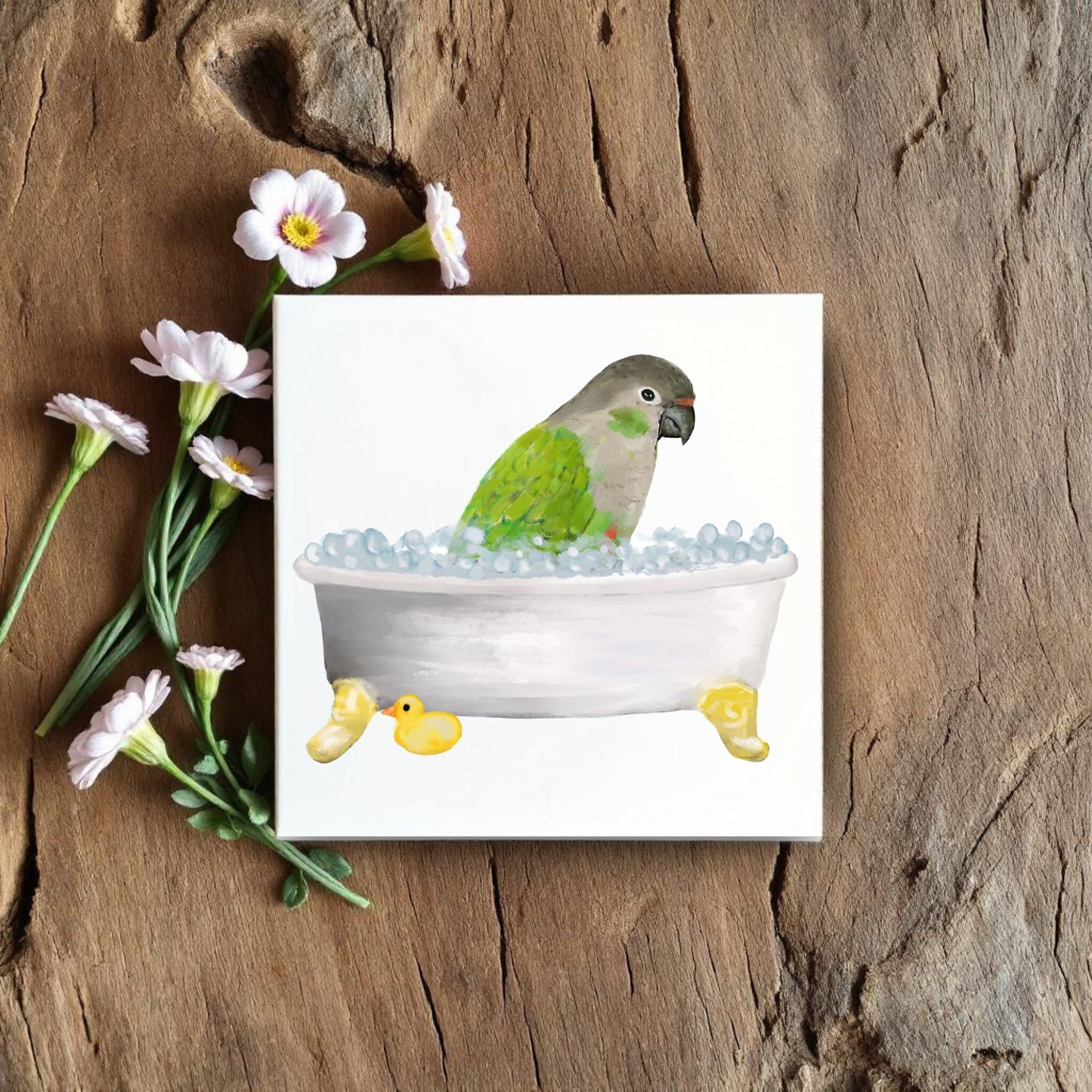 Green Cheek Conure in Bathtub Ceramic Tile – Handcrafted Bird Lover Decor - MerikaArt