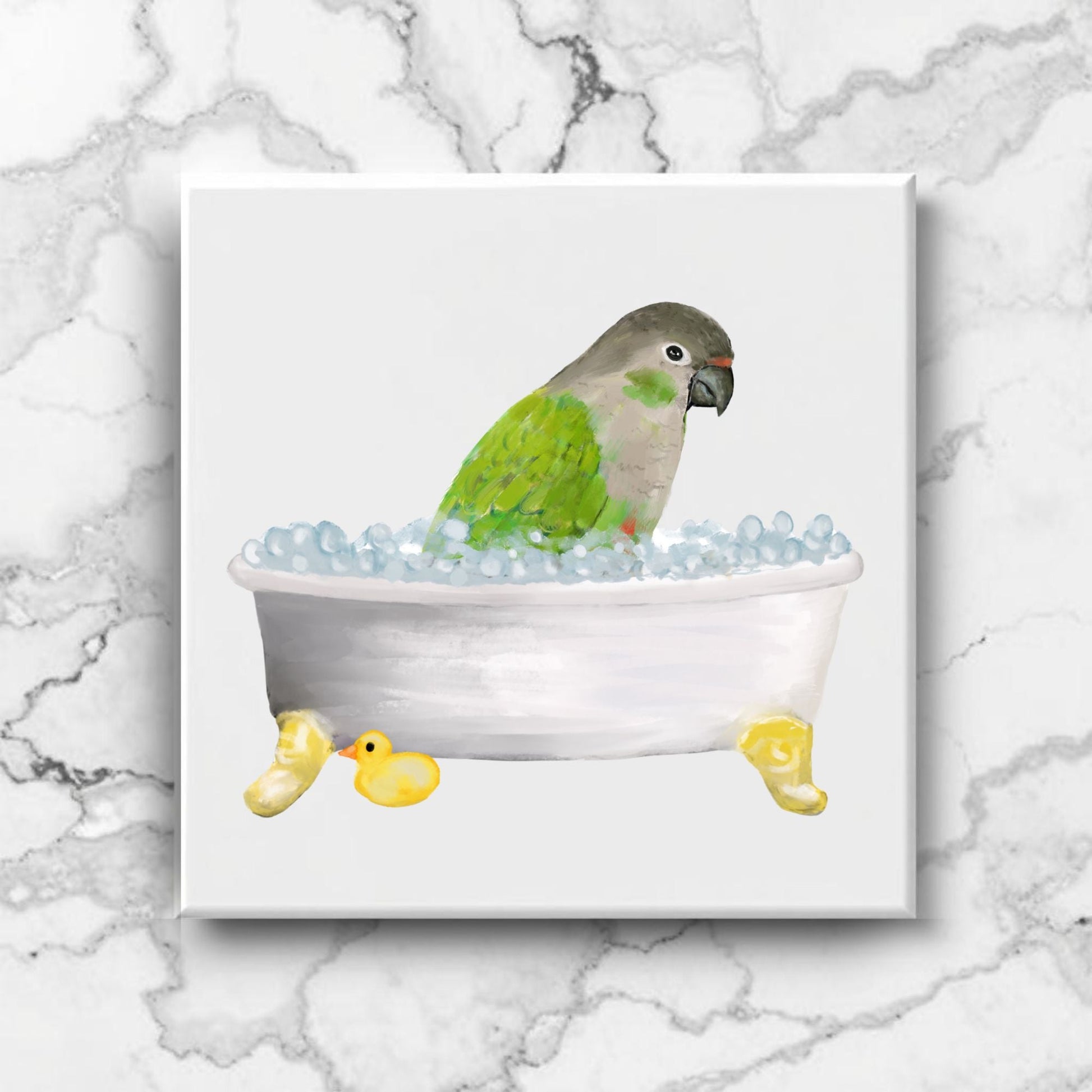 Green Cheek Conure in Bathtub Ceramic Tile – Handcrafted Bird Lover Decor - MerikaArt