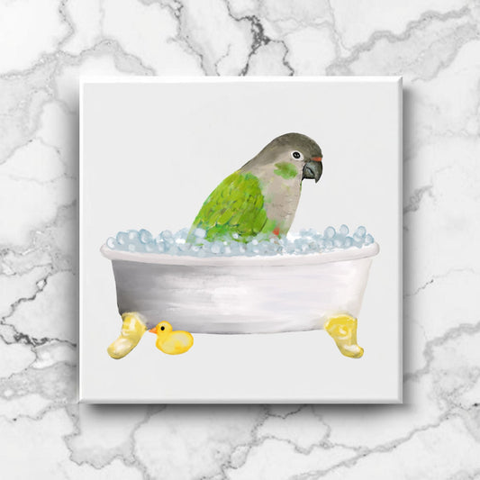 Green Cheek Conure in Bathtub Ceramic Tile – Handcrafted Bird Lover Decor - MerikaArt