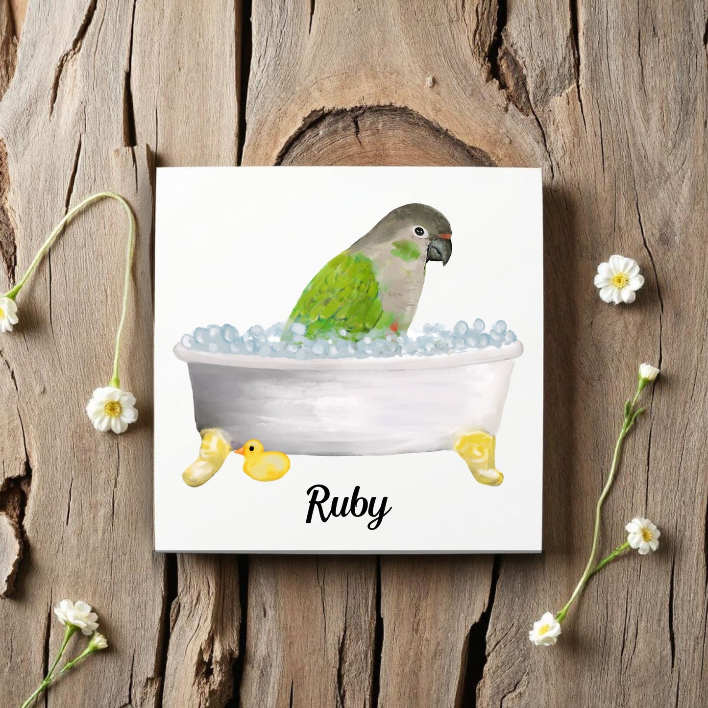 Green Cheek Conure in Bathtub Ceramic Tile – Handcrafted Bird Lover Decor - MerikaArt