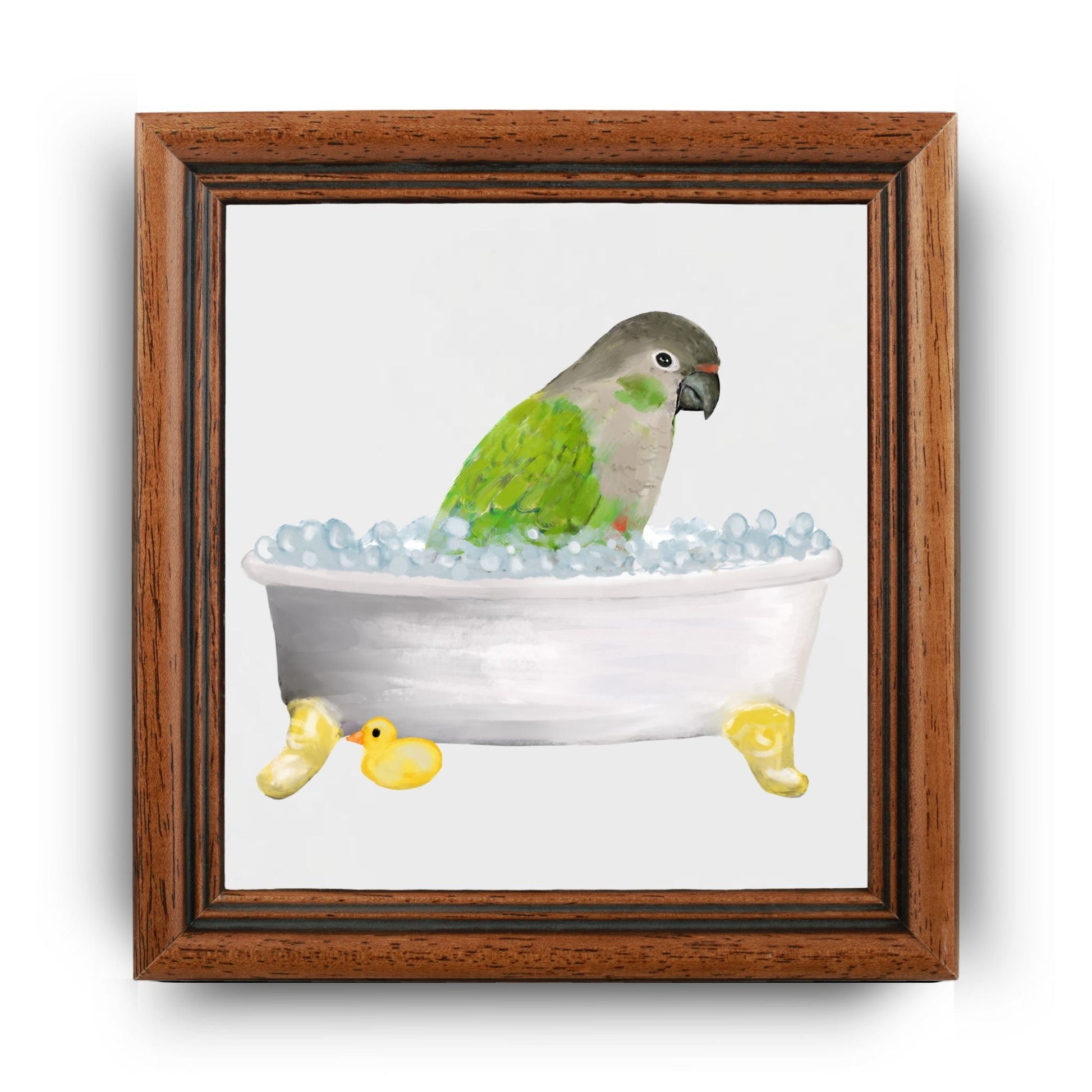 Green Cheek Conure in Bathtub Ceramic Tile – Handcrafted Bird Lover Decor - MerikaArt