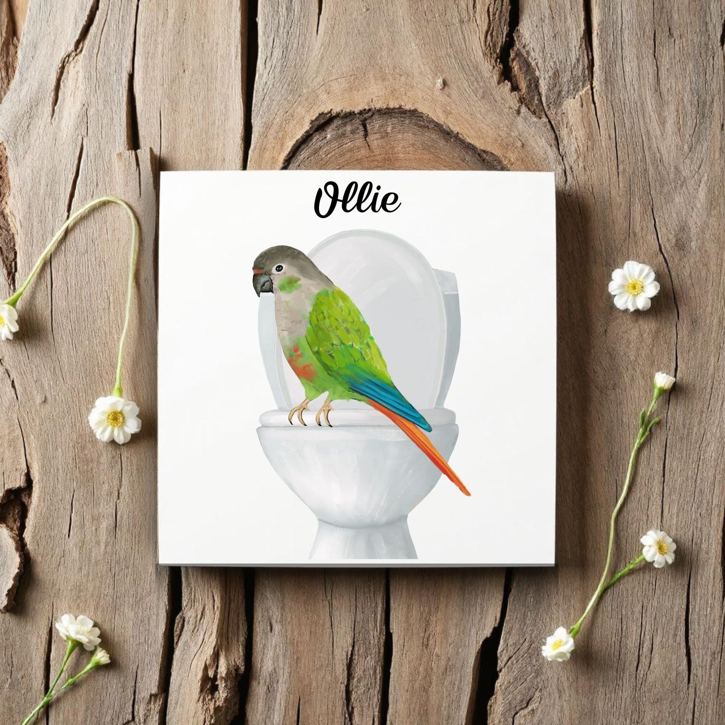 Green Cheek Conure on Toilet Ceramic Tile – Handcrafted Whimsical Bird Decor - MerikaArt