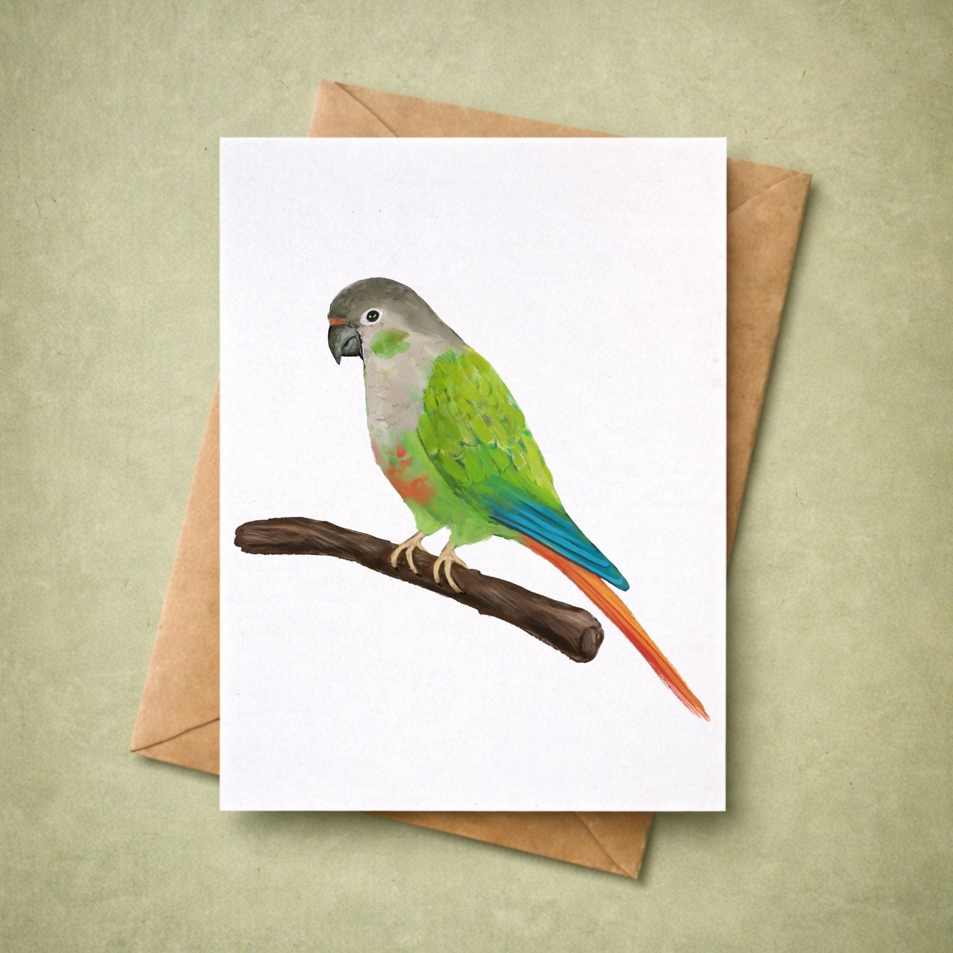 Green Cheek Conure Postcard - MerikaArt