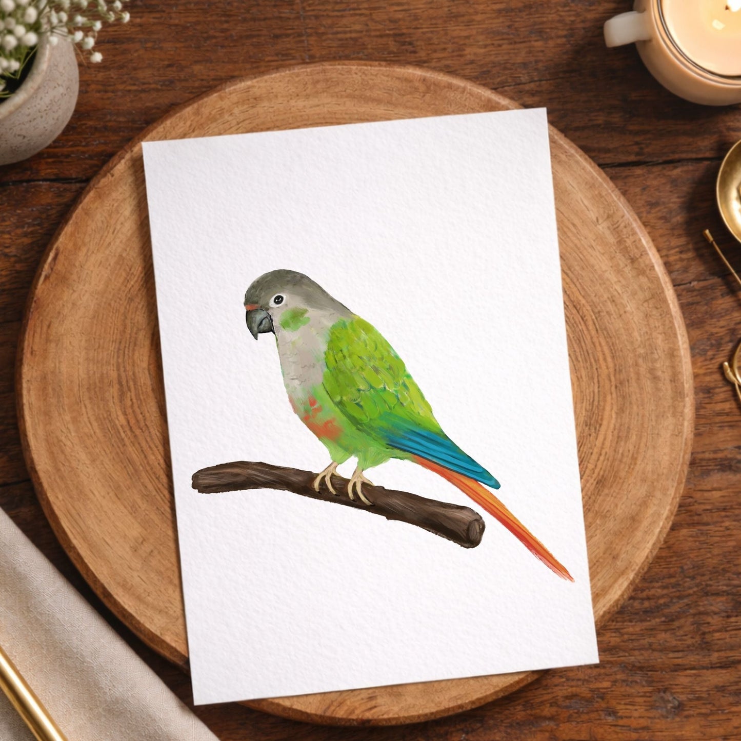Green Cheek Conure Postcard - MerikaArt