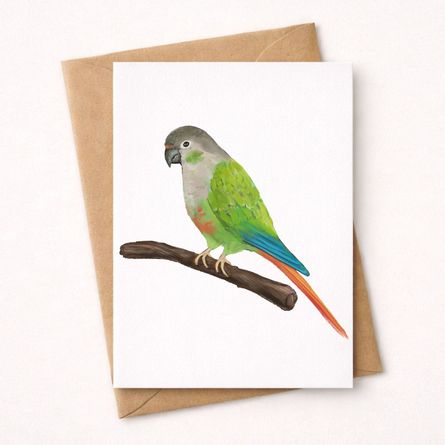 Green Cheek Conure Postcard - MerikaArt