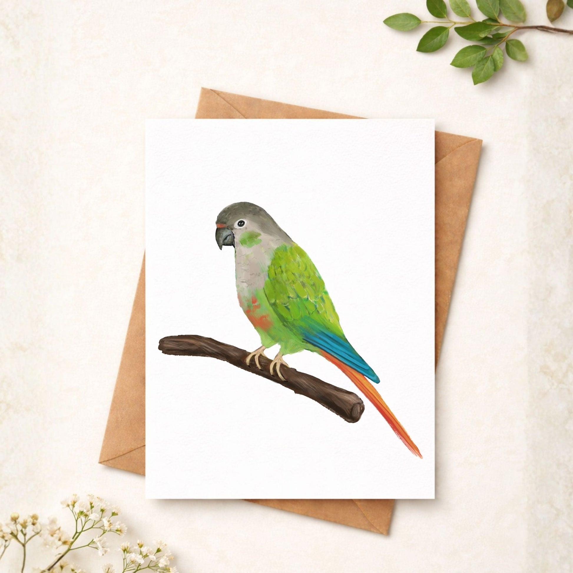 Green Cheek Conure Postcard - MerikaArt
