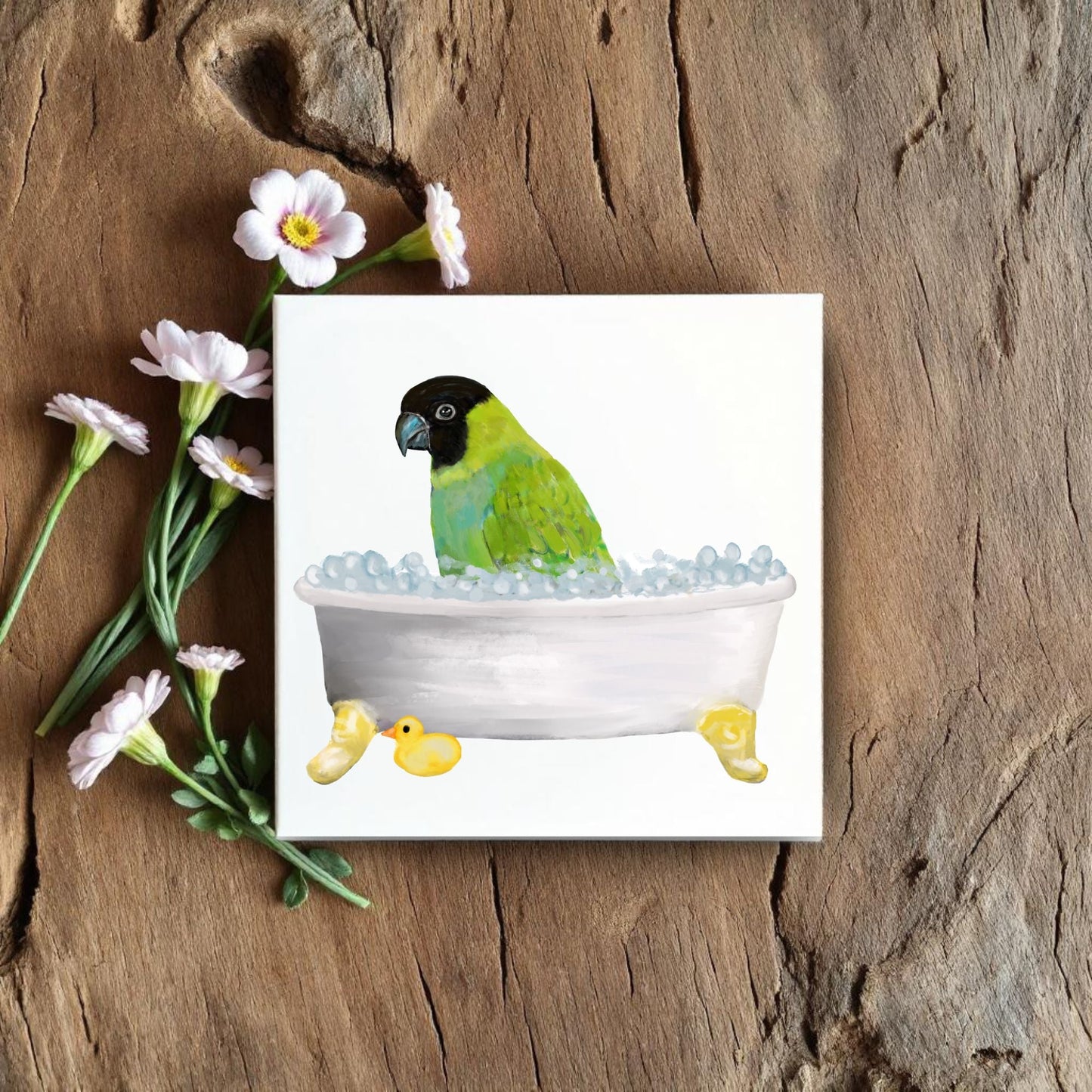 Green Conure Bathtub Ceramic Tile – Handcrafted Bird - Themed Decor - MerikaArt