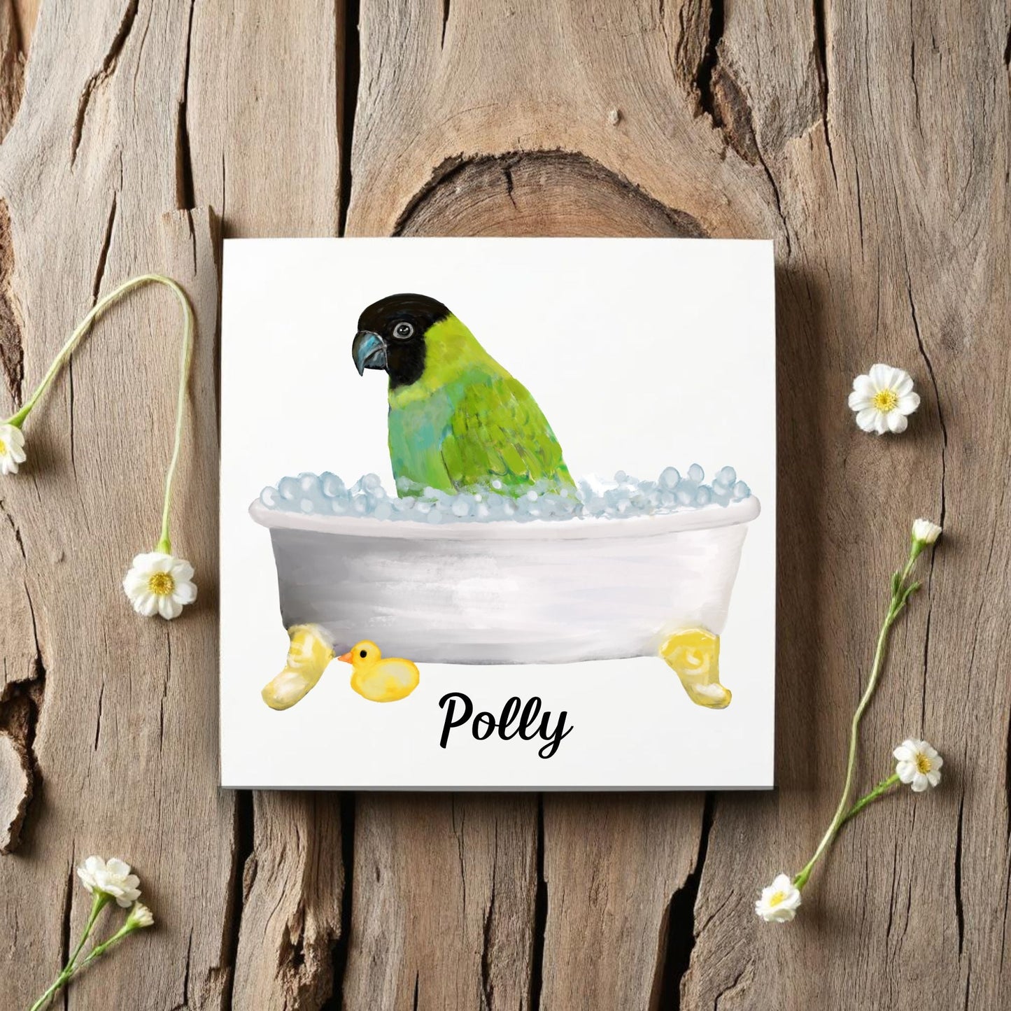 Green Conure Bathtub Ceramic Tile – Handcrafted Bird - Themed Decor - MerikaArt