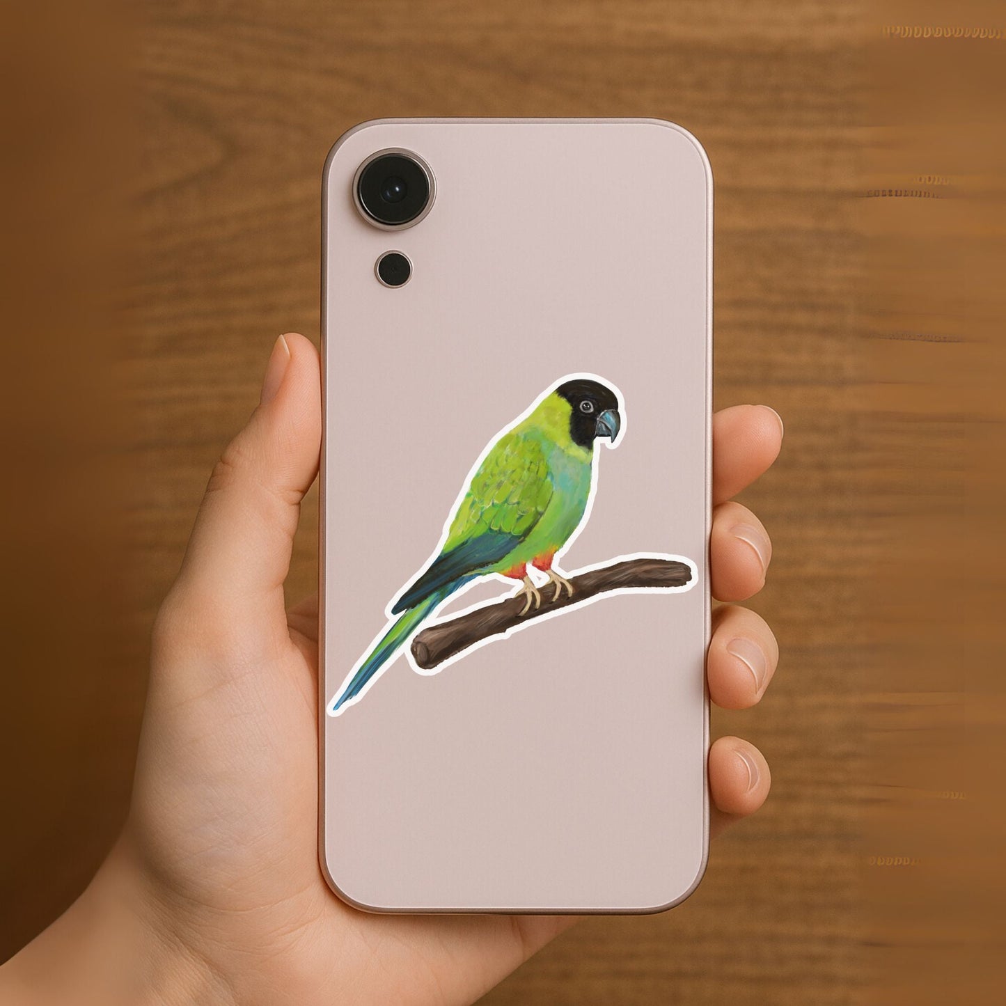 Green Conure Parrot Sticker - MerikaArt