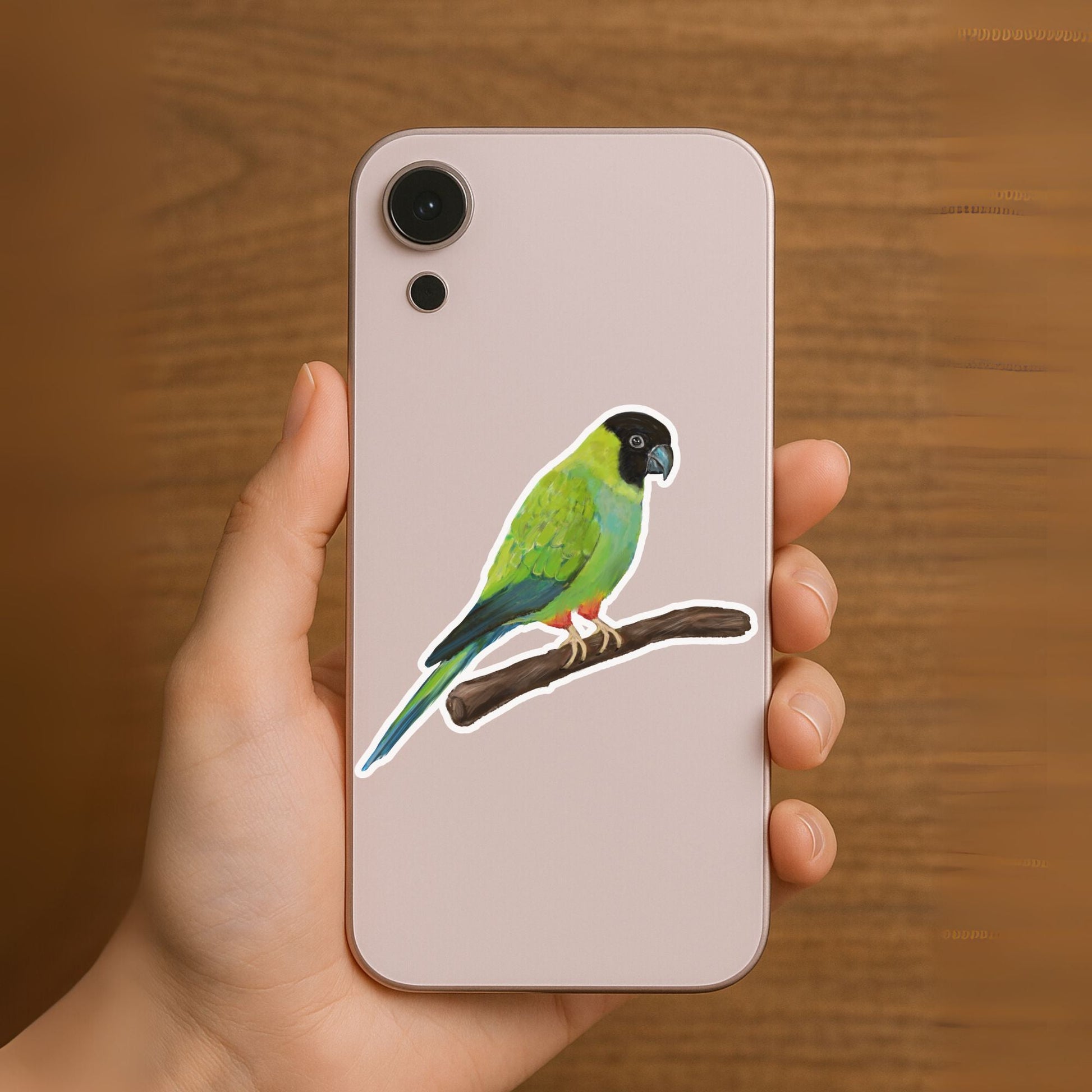Green Conure Parrot Sticker - MerikaArt