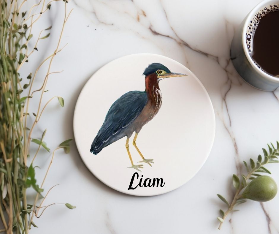 Green Heron Ceramic Coaster - MerikaArt
