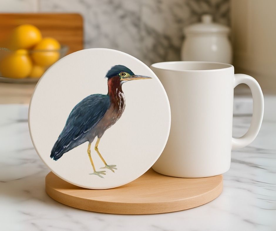 Green Heron Ceramic Coaster - MerikaArt