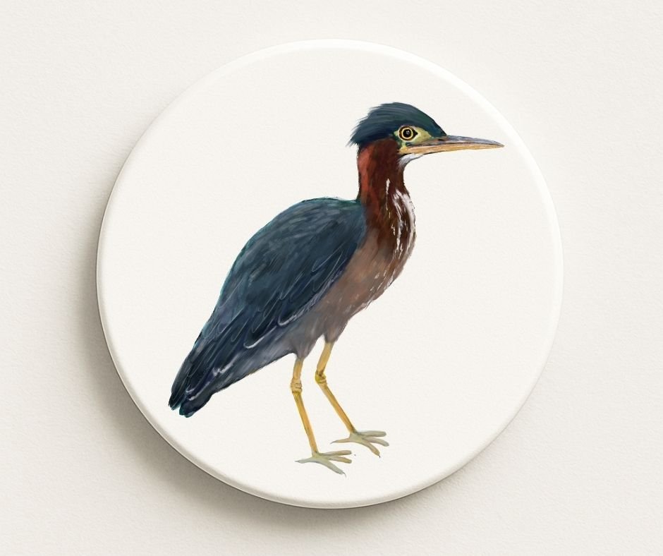 Green Heron Ceramic Coaster - MerikaArt