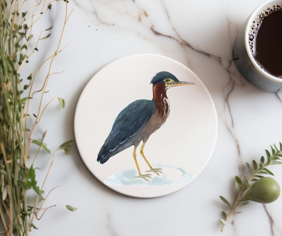 Green Heron Ceramic Coaster - MerikaArt