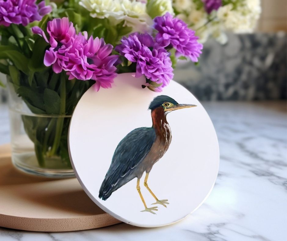 Green Heron Ceramic Coaster - MerikaArt