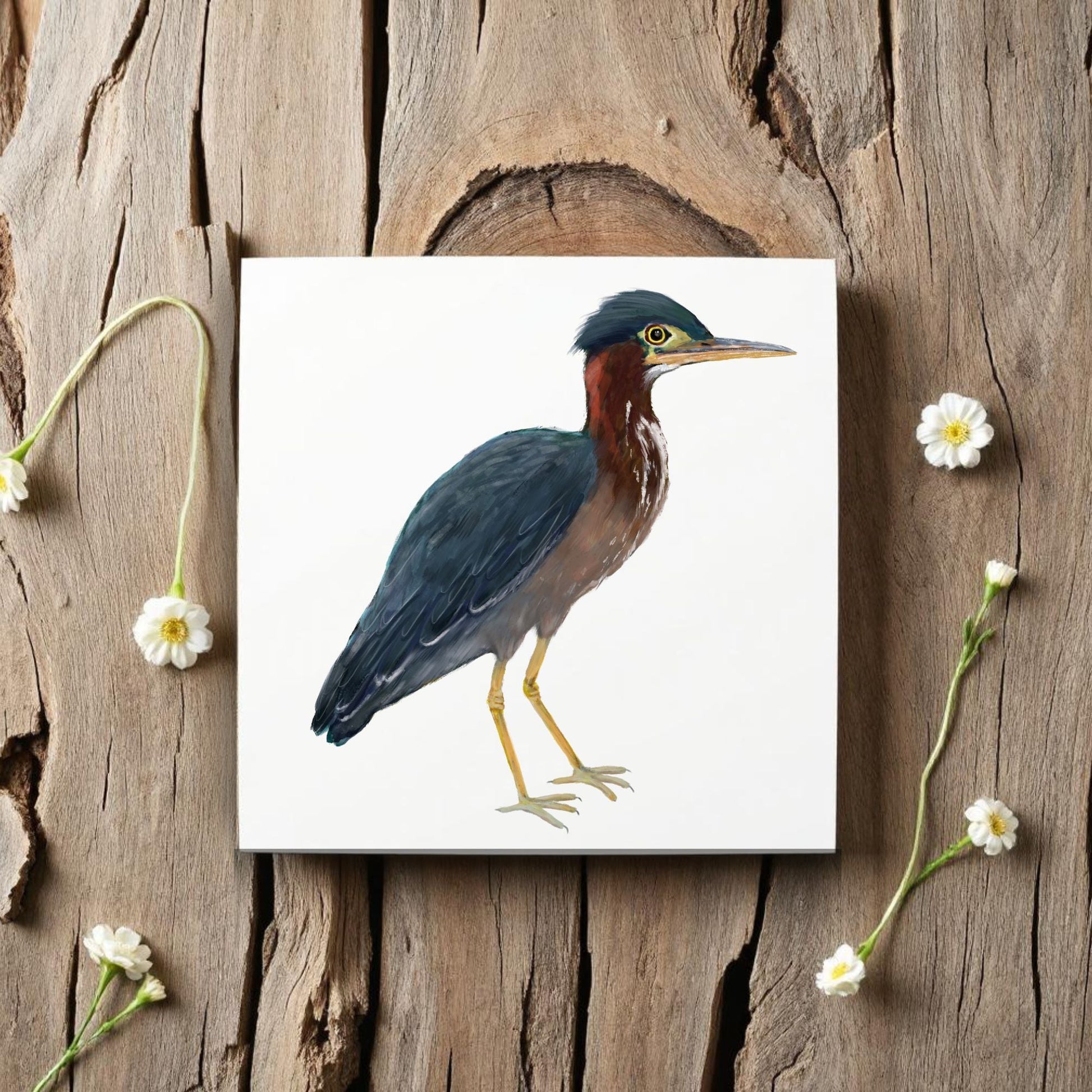 Green Heron Ceramic Tile - MerikaArt