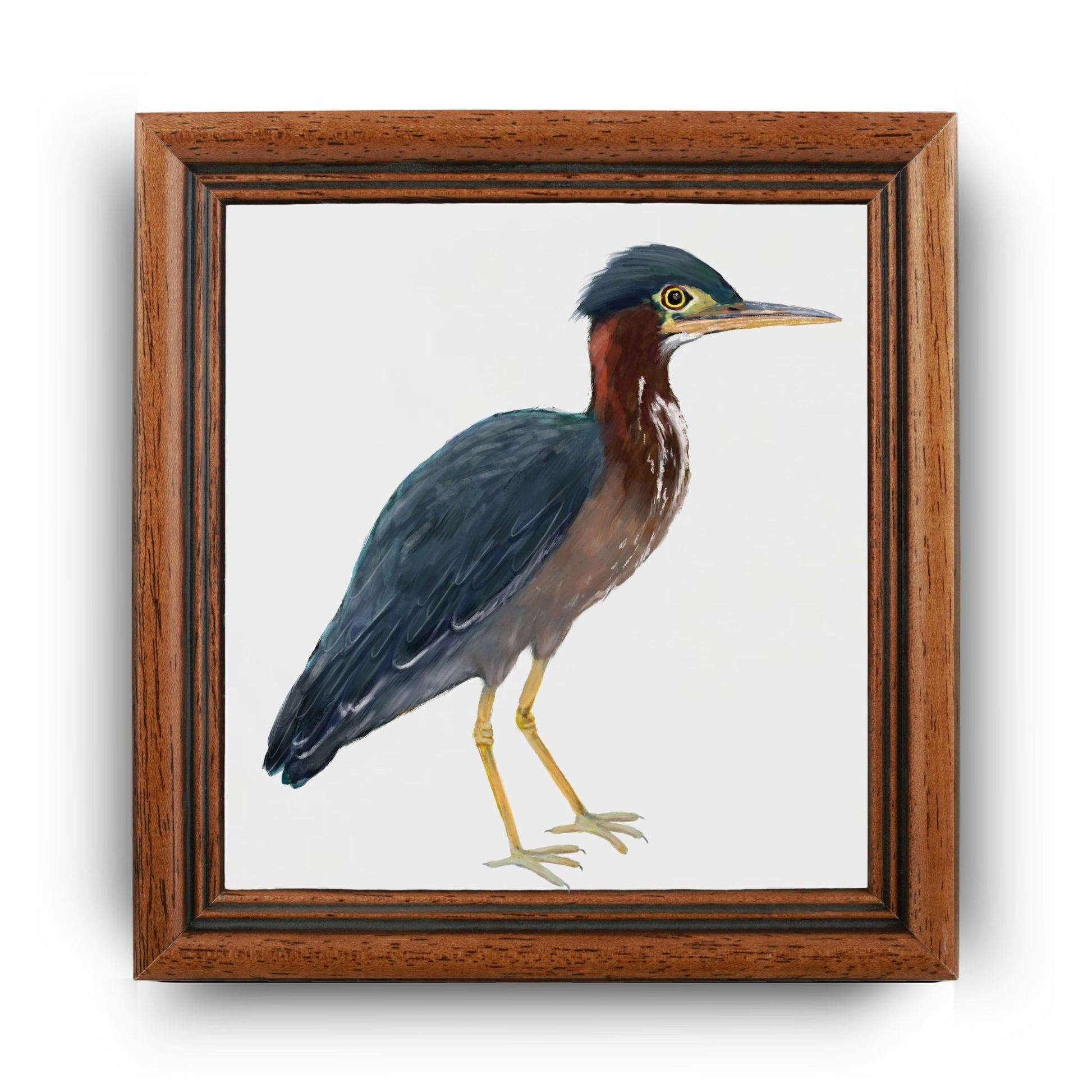 Green Heron Ceramic Tile - MerikaArt
