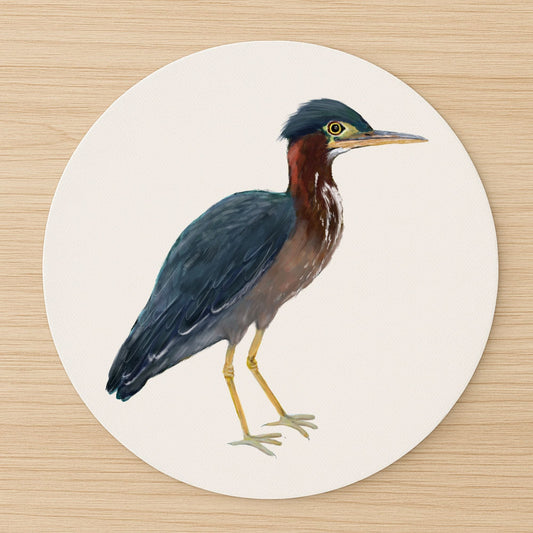 Green Heron Mousepad - MerikaArt