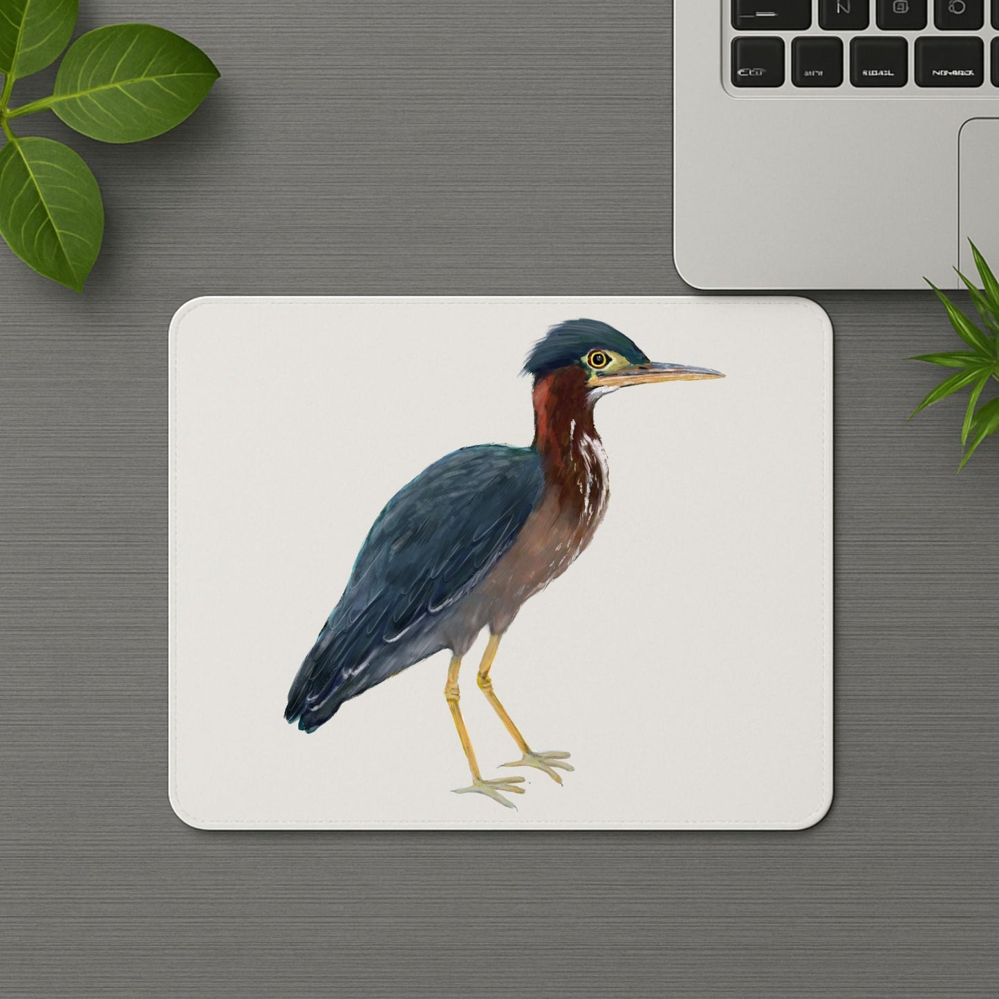 Green Heron Mousepad - MerikaArt