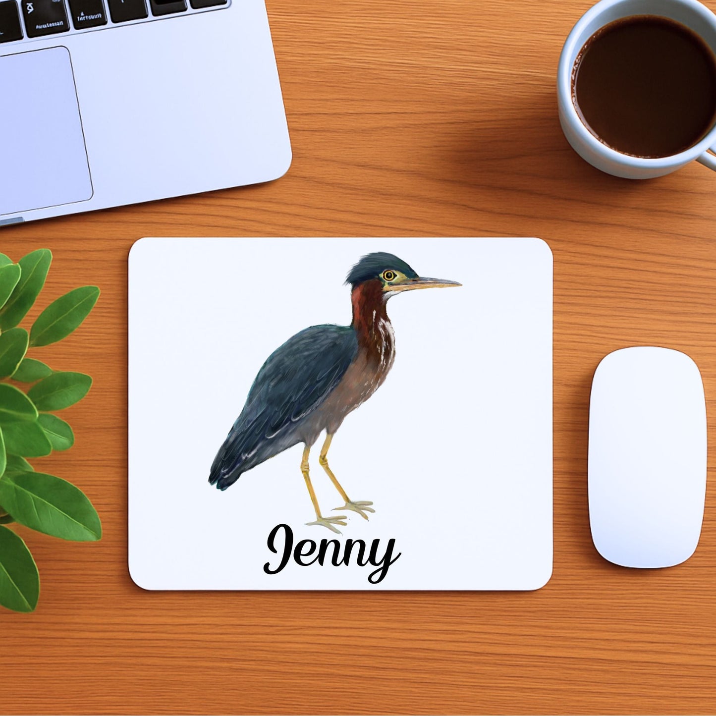 Green Heron Mousepad - MerikaArt