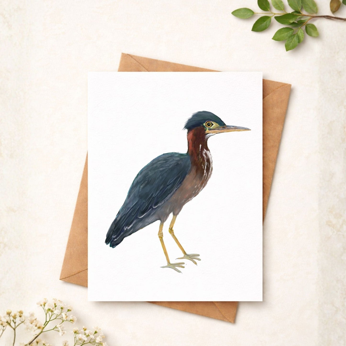 Green Heron Postcard - MerikaArt