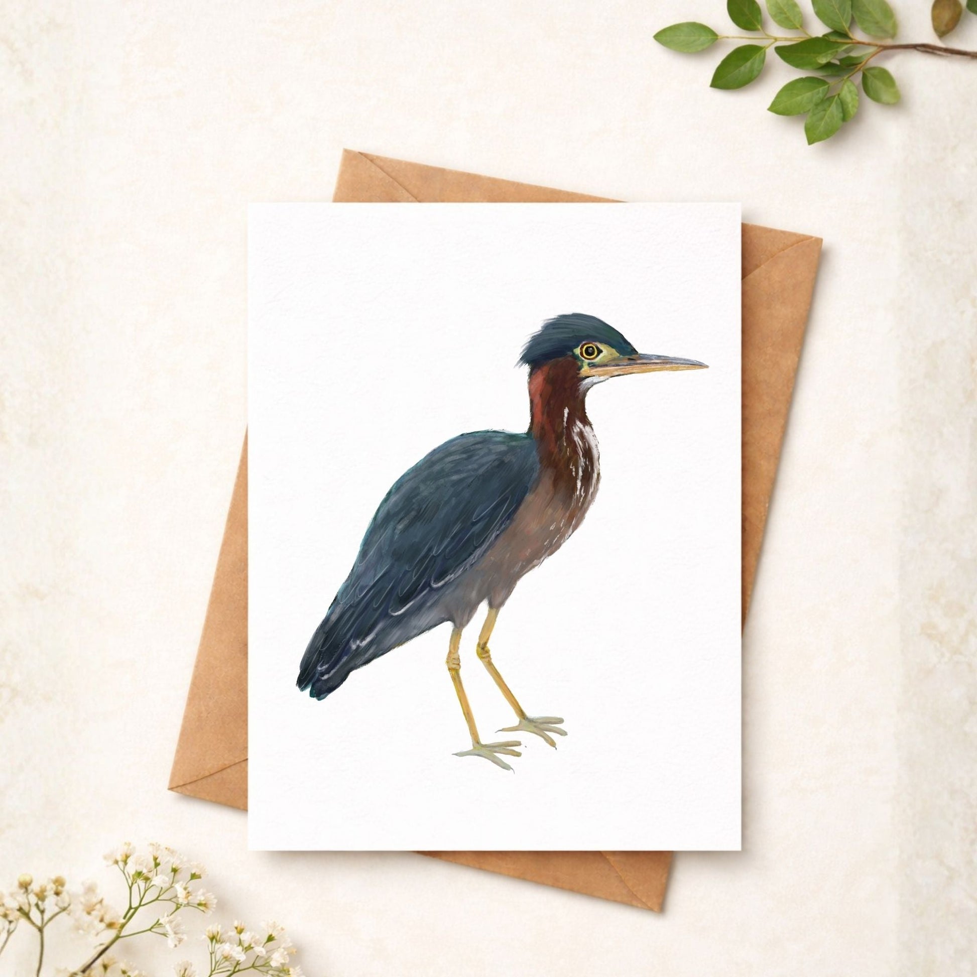 Green Heron Postcard - MerikaArt