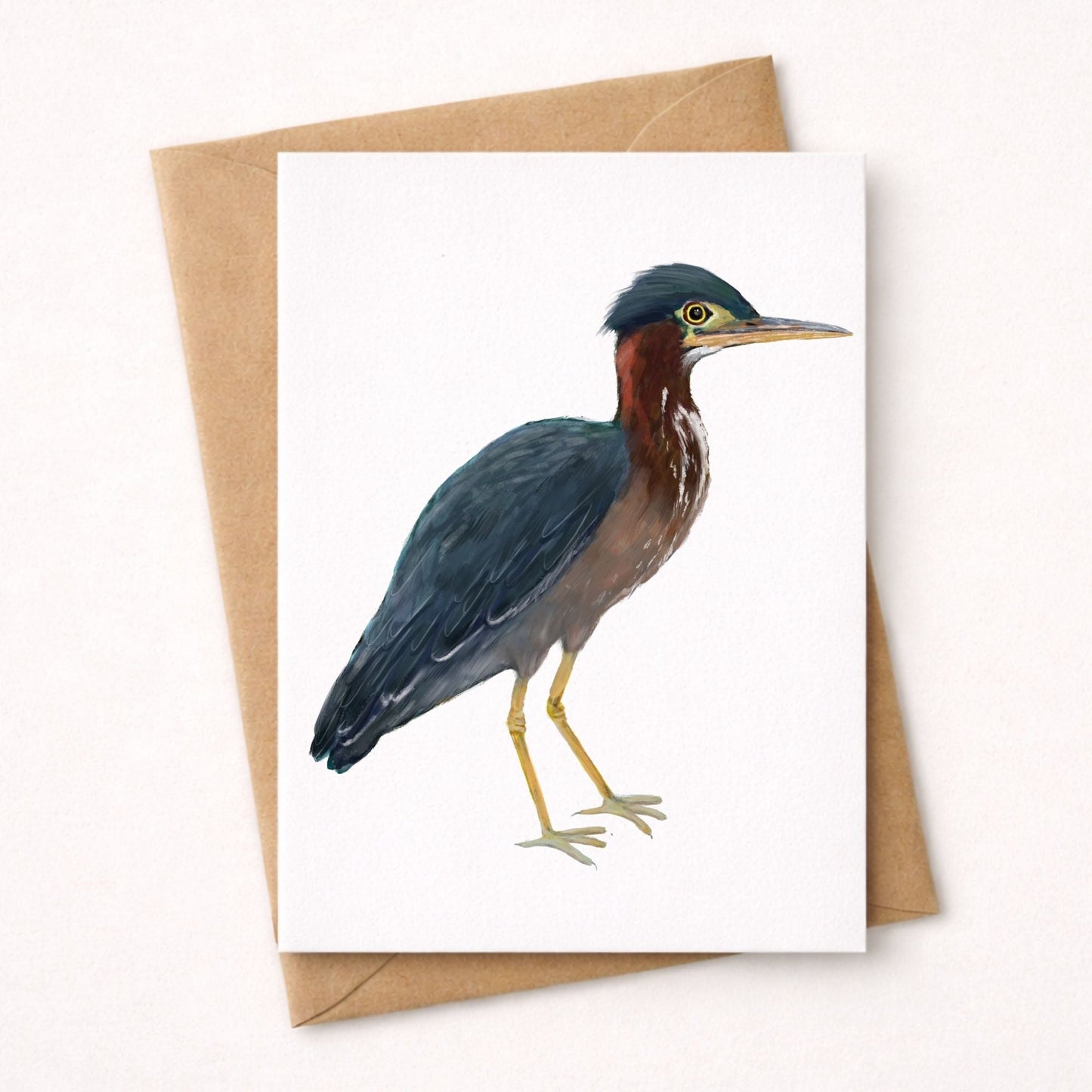 Green Heron Postcard - MerikaArt