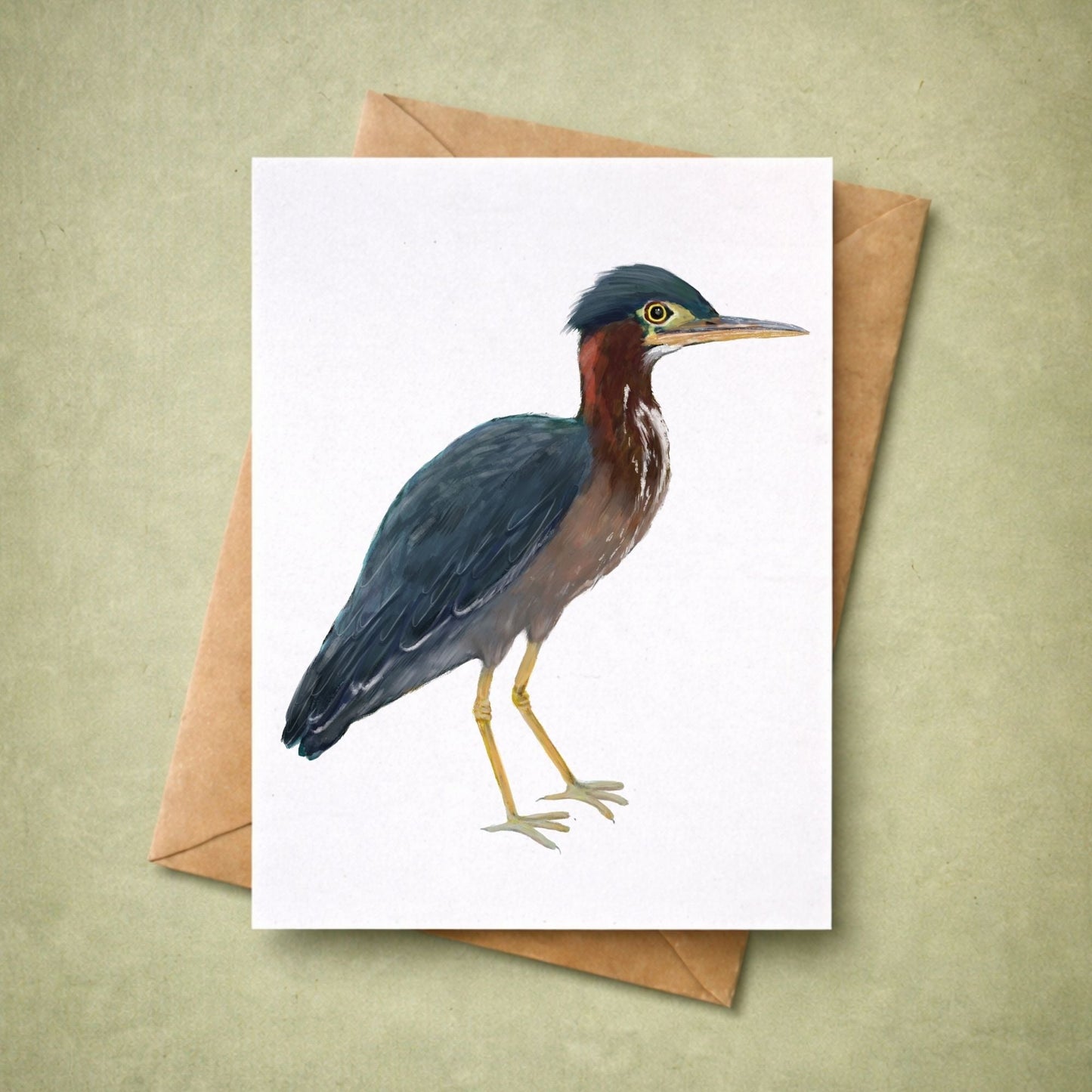 Green Heron Postcard - MerikaArt