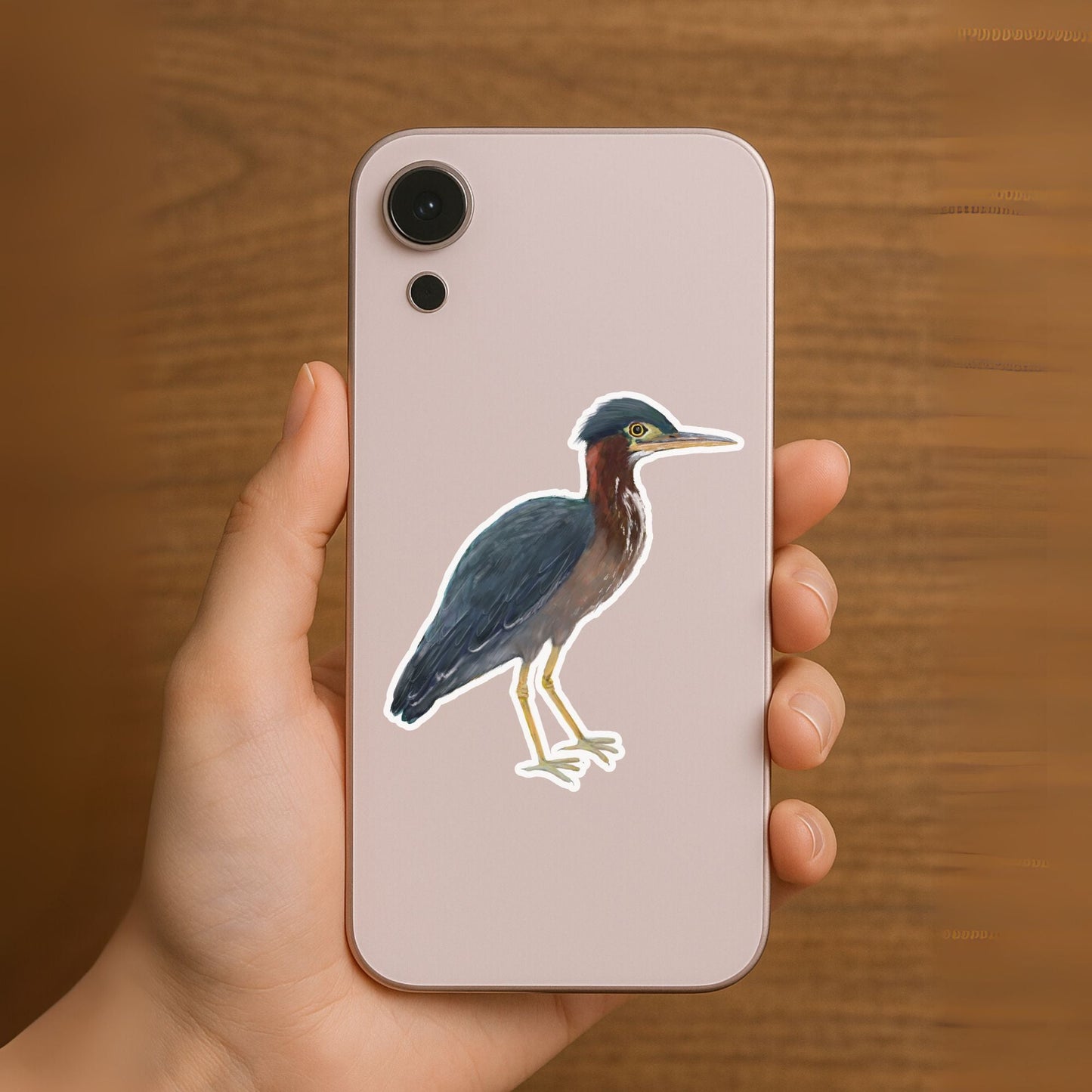 Green Heron Sticker - MerikaArt