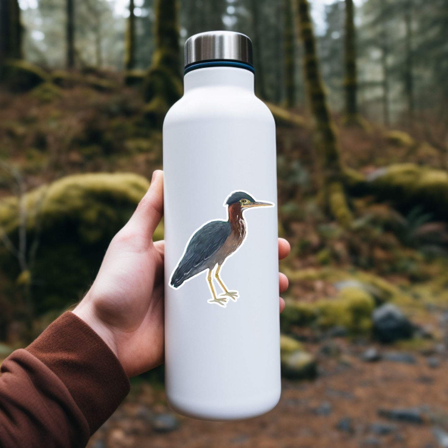 Green Heron Sticker - MerikaArt