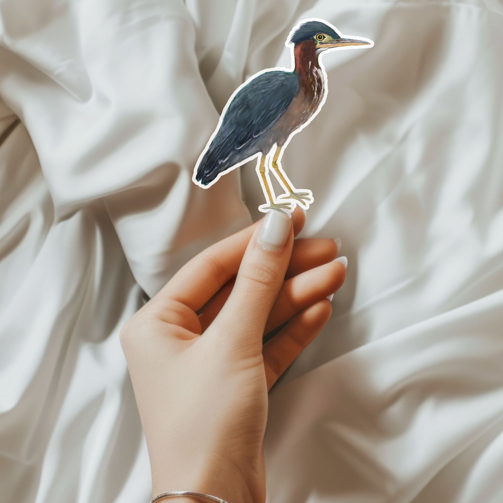 Green Heron Sticker - MerikaArt