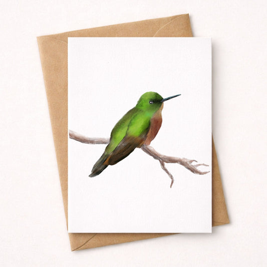 Green Hummingbird Postcard - MerikaArt
