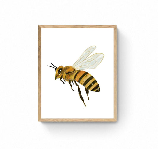 Honey Bee Print, Honeybee Portrait, Living Room Wall Art, Home Decor, Wildlife Illustration, Animal Lover Gift, Kitchen Wall Painting - MerikaArt