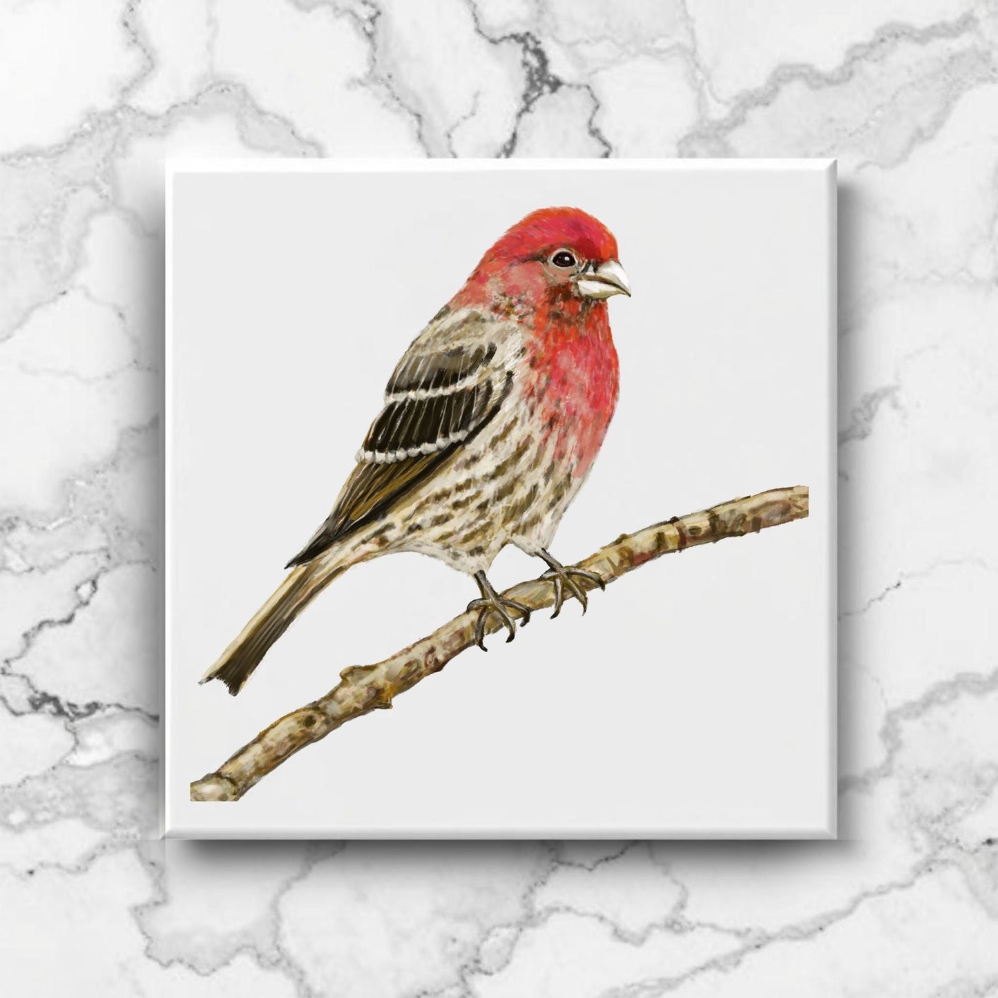 House Finch Ceramic Tile – Handcrafted Bird Lover Decor - MerikaArt