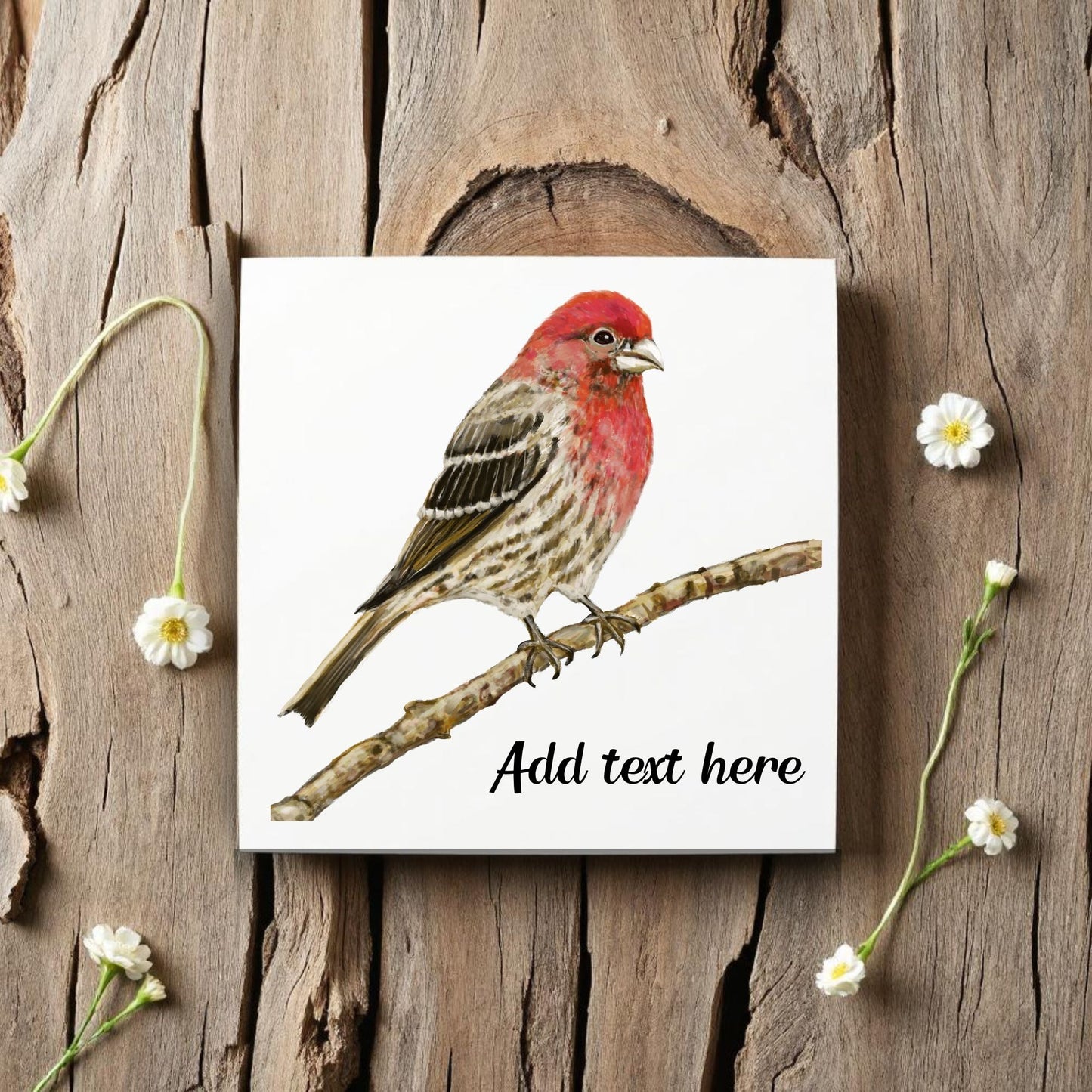 House Finch Ceramic Tile – Handcrafted Bird Lover Decor - MerikaArt