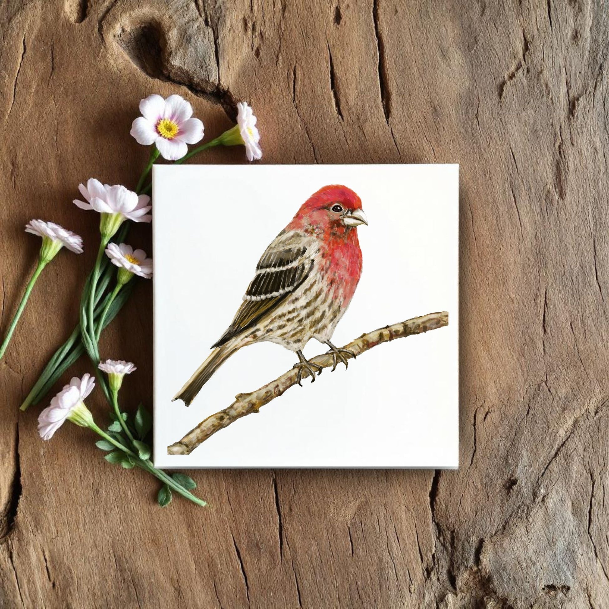 House Finch Ceramic Tile – Handcrafted Bird Lover Decor - MerikaArt