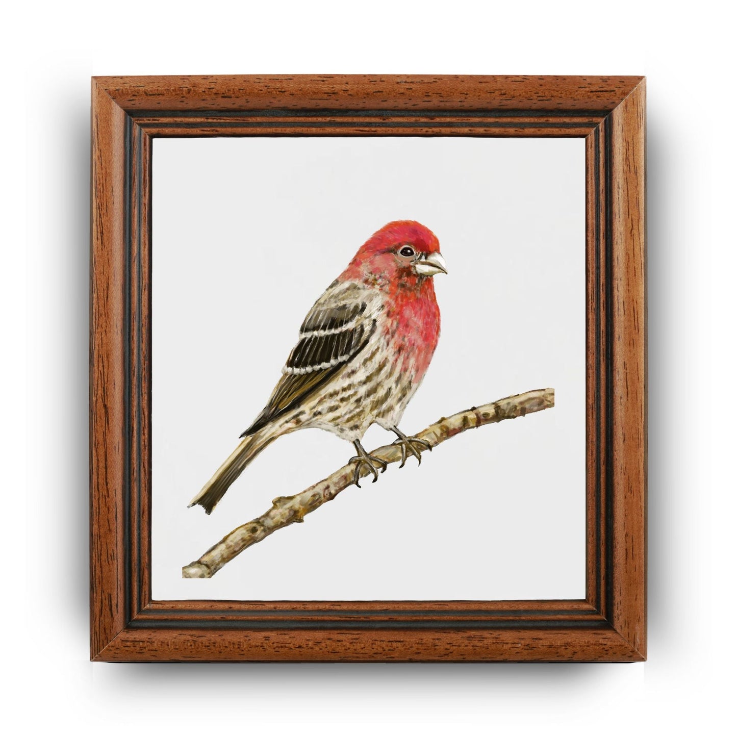 House Finch Ceramic Tile – Handcrafted Bird Lover Decor - MerikaArt