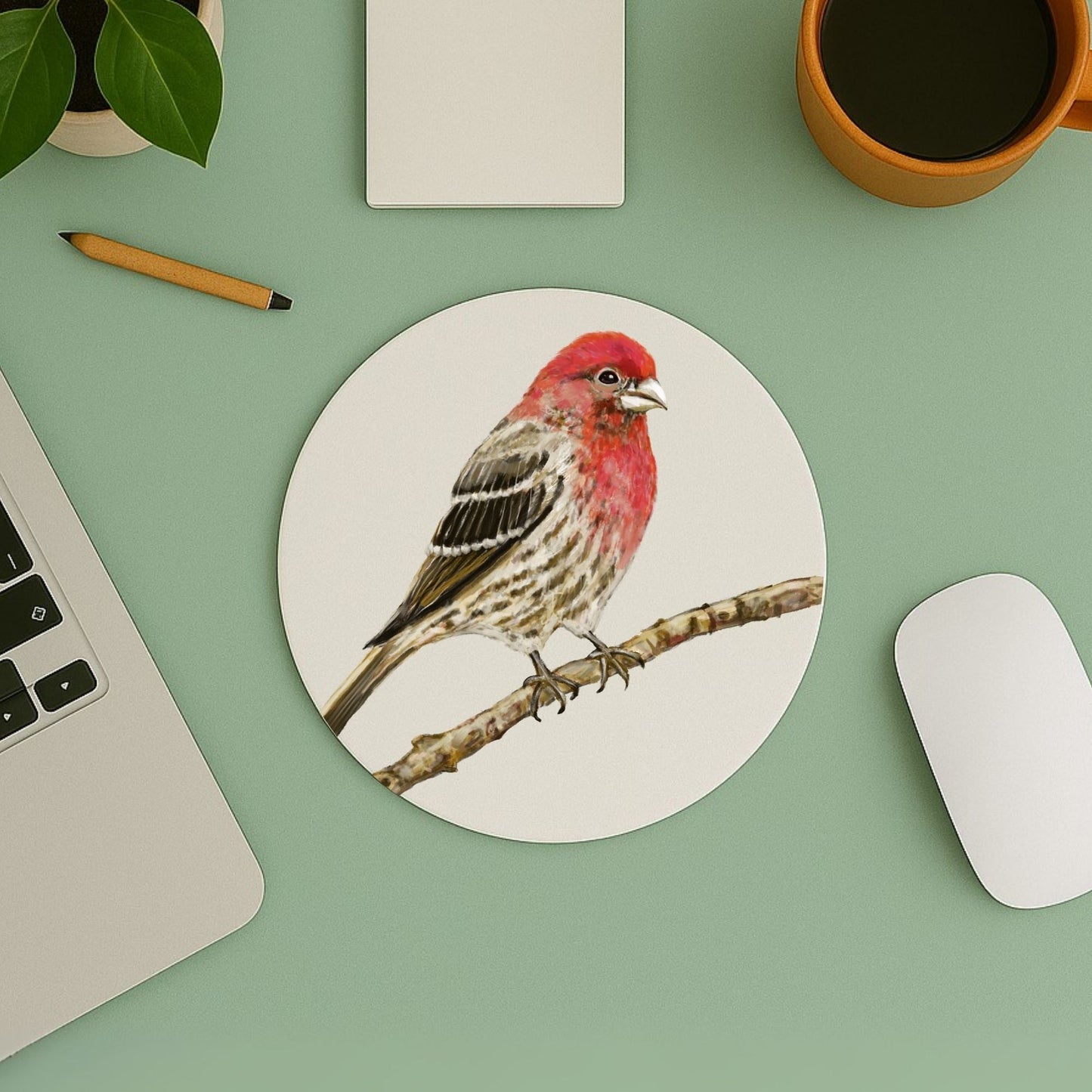 House Finch Mousepad - MerikaArt