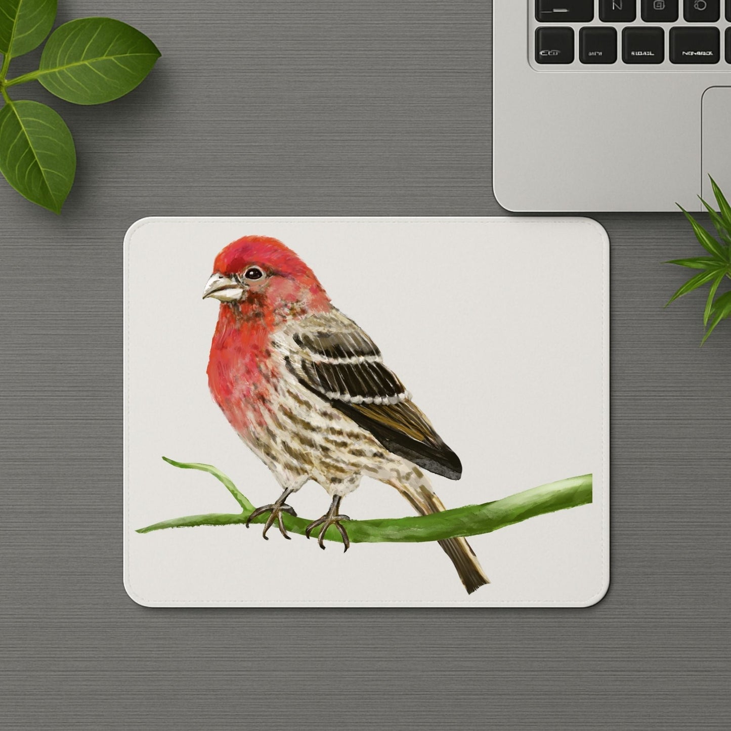 House Finch Mousepad - MerikaArt