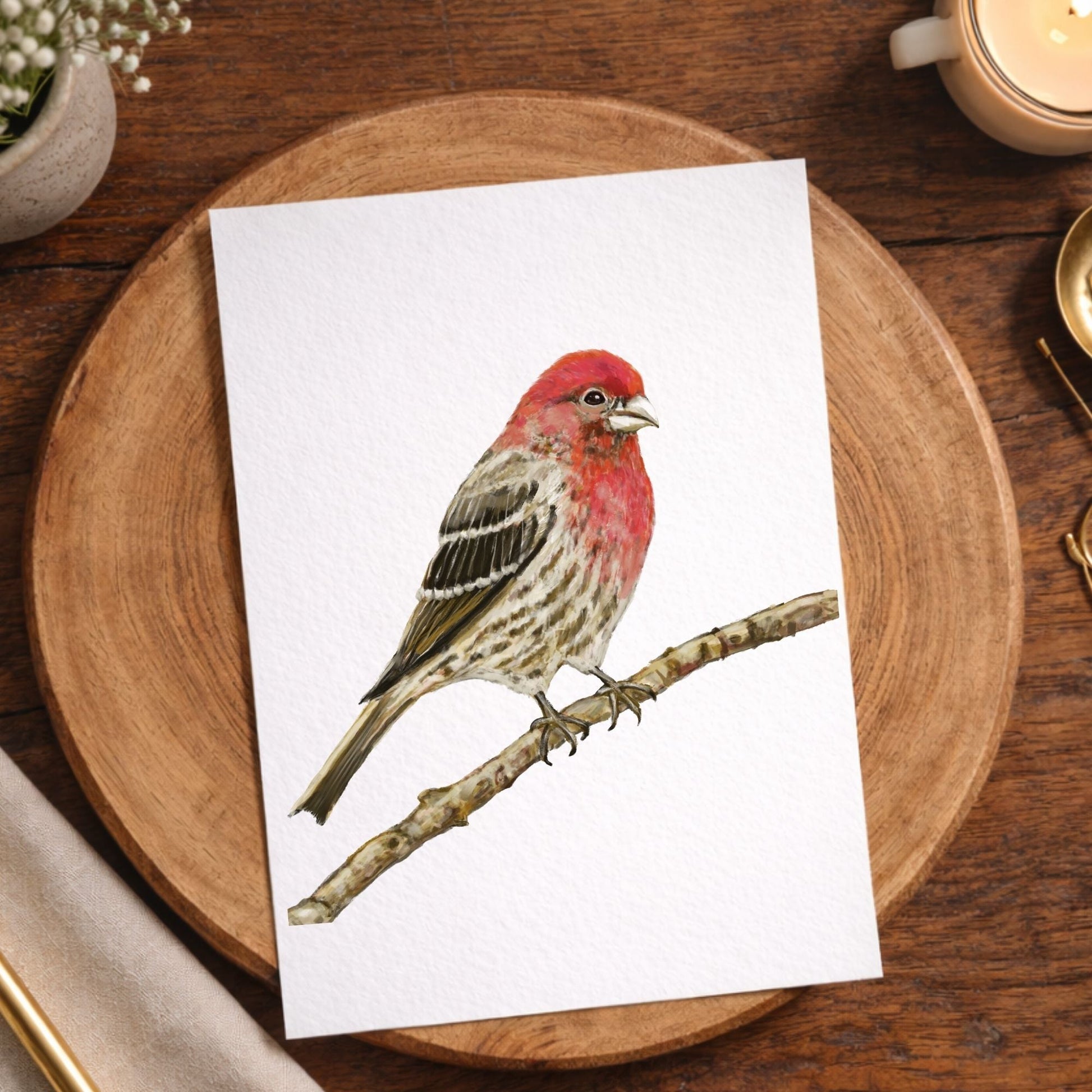 House Finch Postcard - MerikaArt